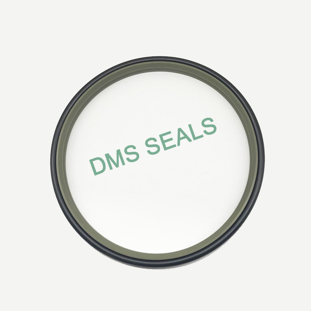 DMS Seals professional rod wiper seals for forklifts-1