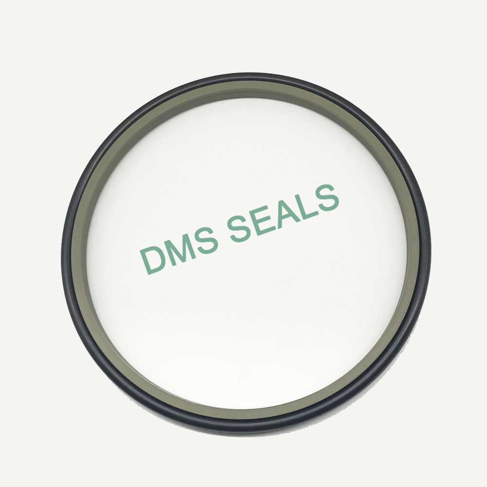 news-DMS Seals-DMS Seals u cup seal sizes wholesale for cranes-img