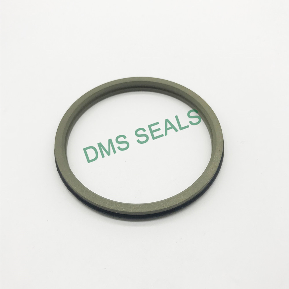 DMS Seals hydraulic piston cup seals cost for injection molding machines-1