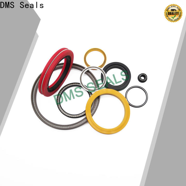 DMS Seals Custom spring energised seal wholesale for valves