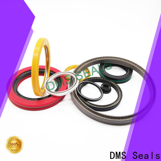 DMS Seals multi spring seal factory price for aviation