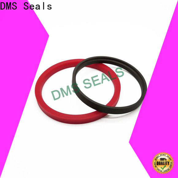 Top lip seal vs mechanical seal factory DMS Seals