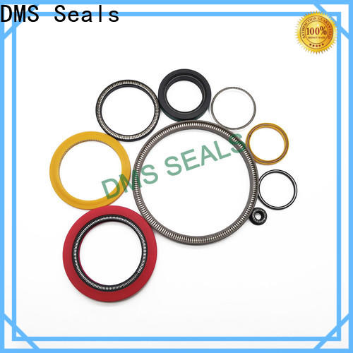 DMS Seals Bulk spring energized seals factory price for choke lines
