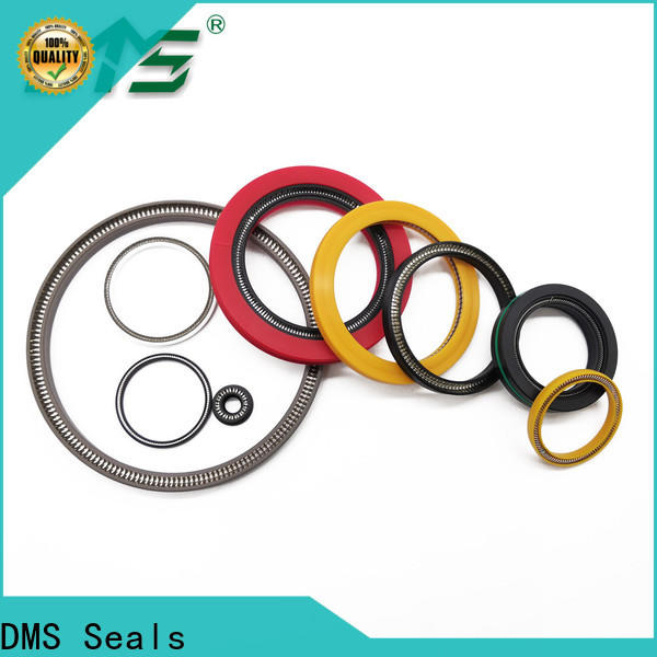 DMS Seals Customized spring energized seals for choke lines