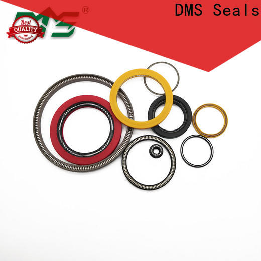 DMS Seals spring energized ptfe seal price for valves