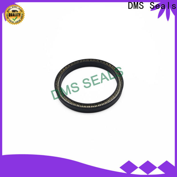 DMS Seals spring loaded seal company for reciprocating piston rod or piston single acting seal