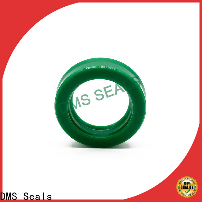 high quality hydraulic cylinder piston rings cost for sale DMS Seals