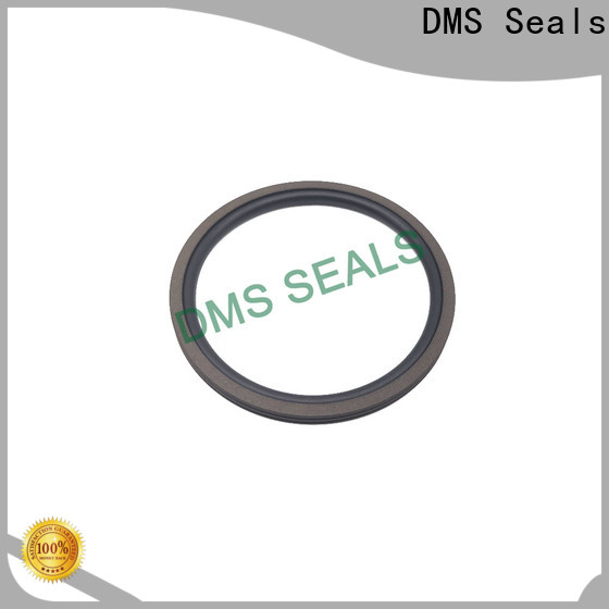 DMS Seals labyrinth seal catalogue factory for automotive equipment