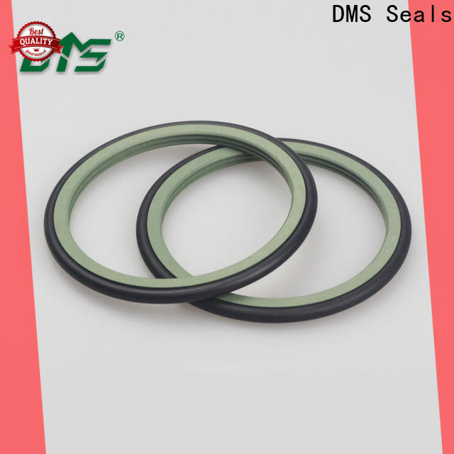 DMS Seals High-quality piston oil seal for construction machinery