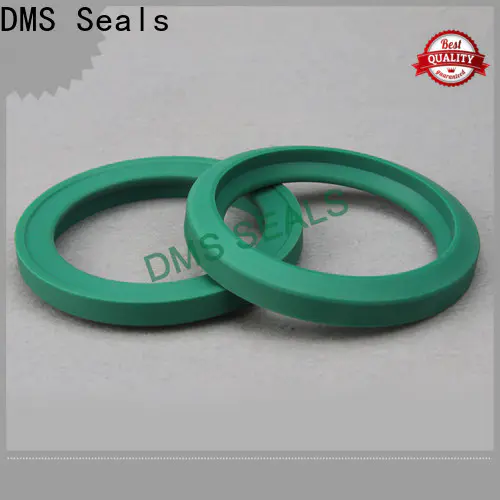 DMS Seals seal ring manufacturers company for larger piston clearance