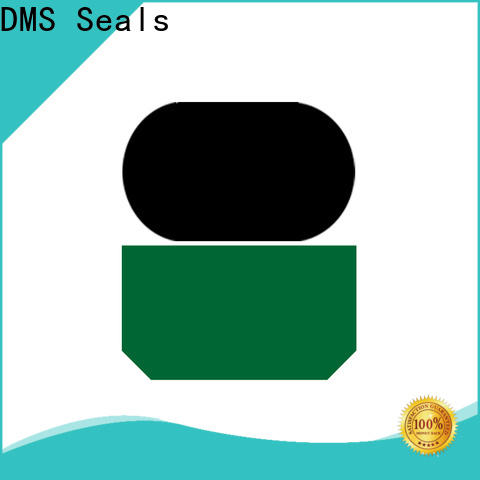DMS Seals Top hydraulic cylinder gaskets supply for pressure work and sliding high speed occasions