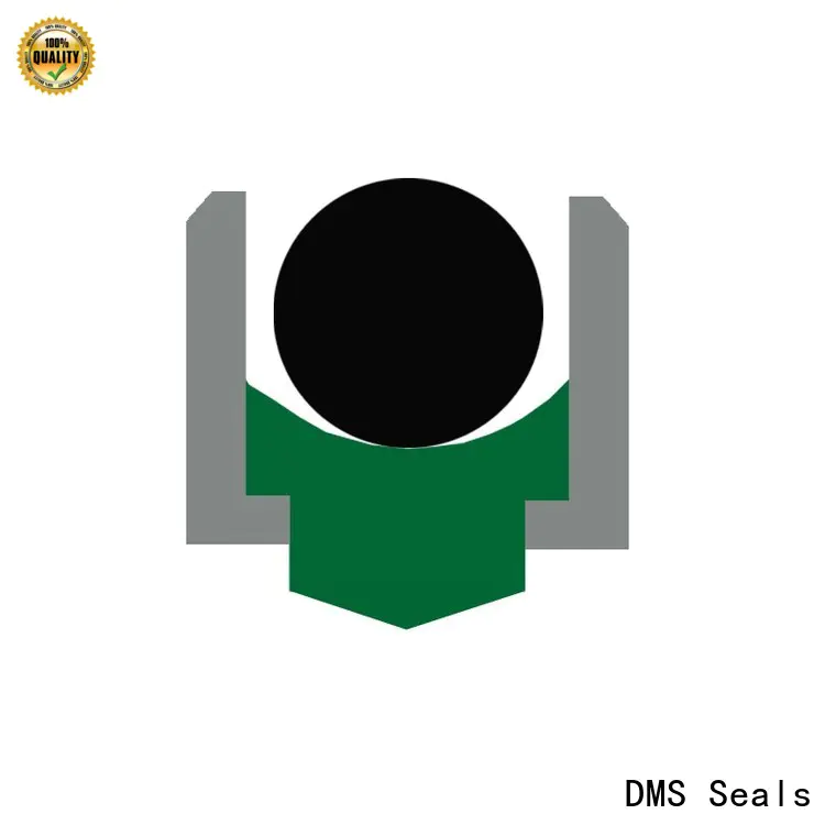 DMS Seals Best rotary seals manufacturer company for automotive equipment