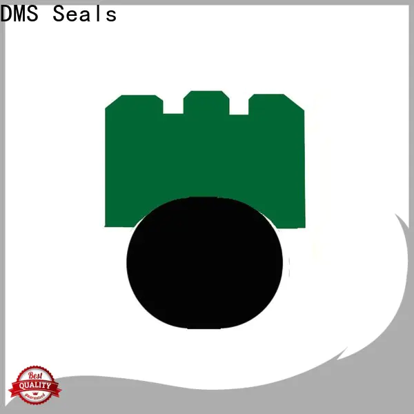 DMS Seals national oil seal lookup price for automotive equipment