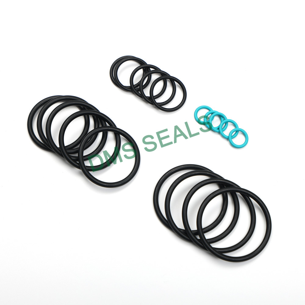 DMS Seals High-quality air conditioning o ring kit company For sealing-3