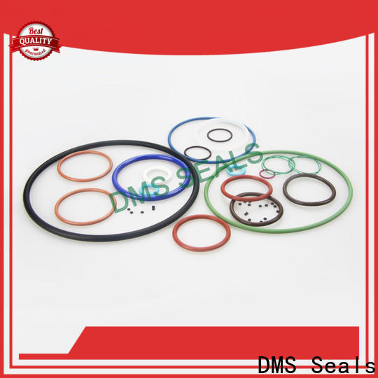 DMS Seals o ring 21 for sale in highly aggressive chemical processing