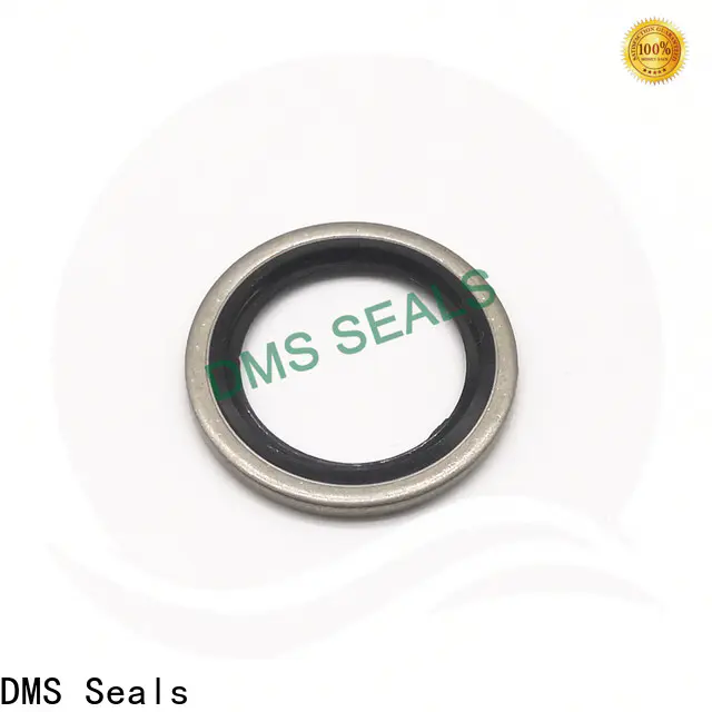 Custom bonded sealing washers stainless steel vendor for threaded pipe fittings and plug sealing