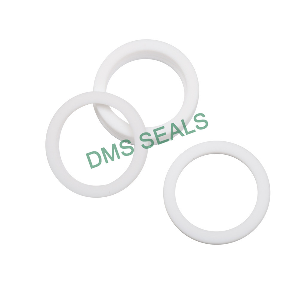 DMS Seals gasket supplier vendor for preventing the seal from being squeezed-2