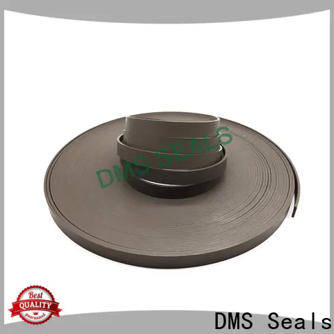 DMS Seals front ball bearing cost as the guide sleeve