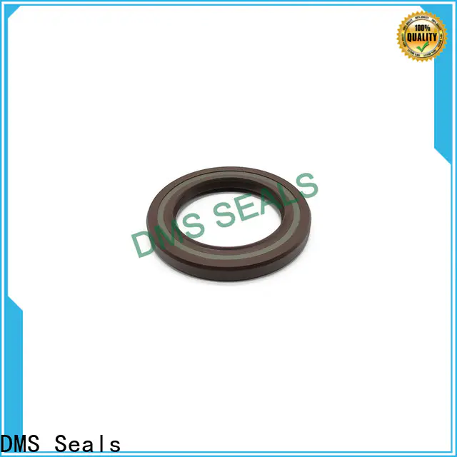 DMS Seals Quality shaft seal ring cost for low and high viscosity fluids sealing
