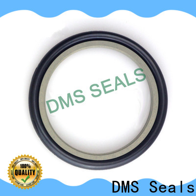 DMS Seals lip seal vs mechanical seal factory price