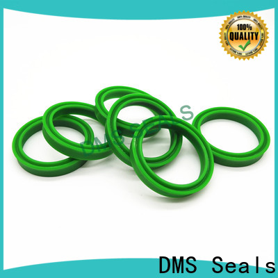 DMS Seals mechanical seal presentation manufacturer for larger piston clearance