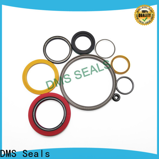 Quality spring energised seal supplier for fracturing