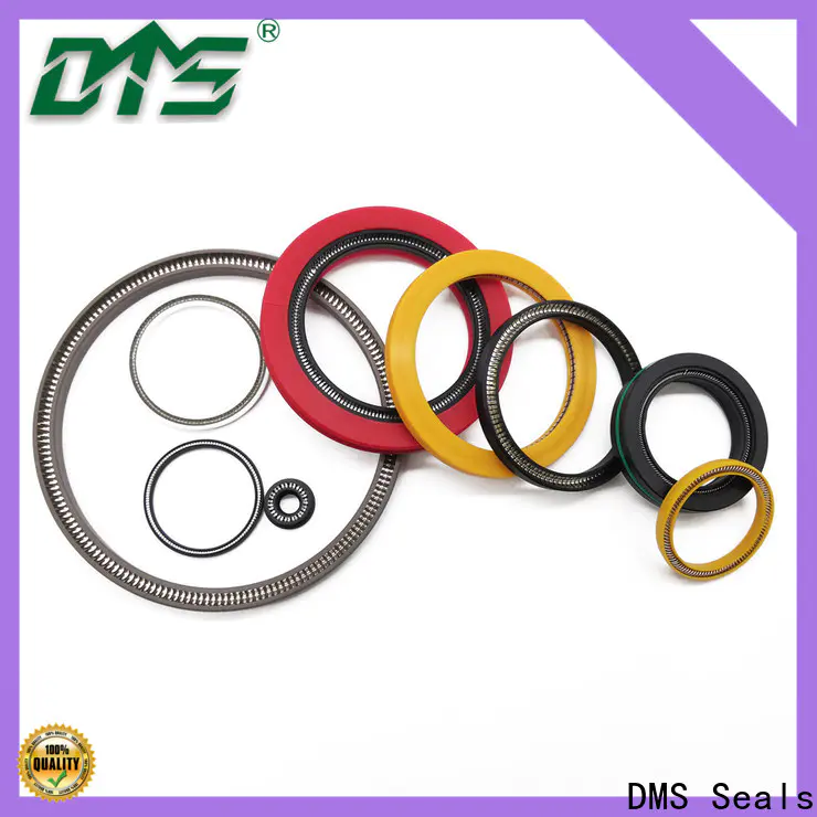 DMS Seals spring energized seals factory for valves