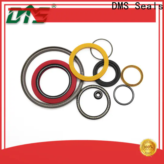 Professional parker spring energized seals factory price for fracturing