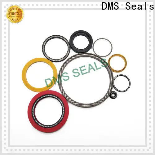 DMS Seals Custom spring loaded seal factory for aviation