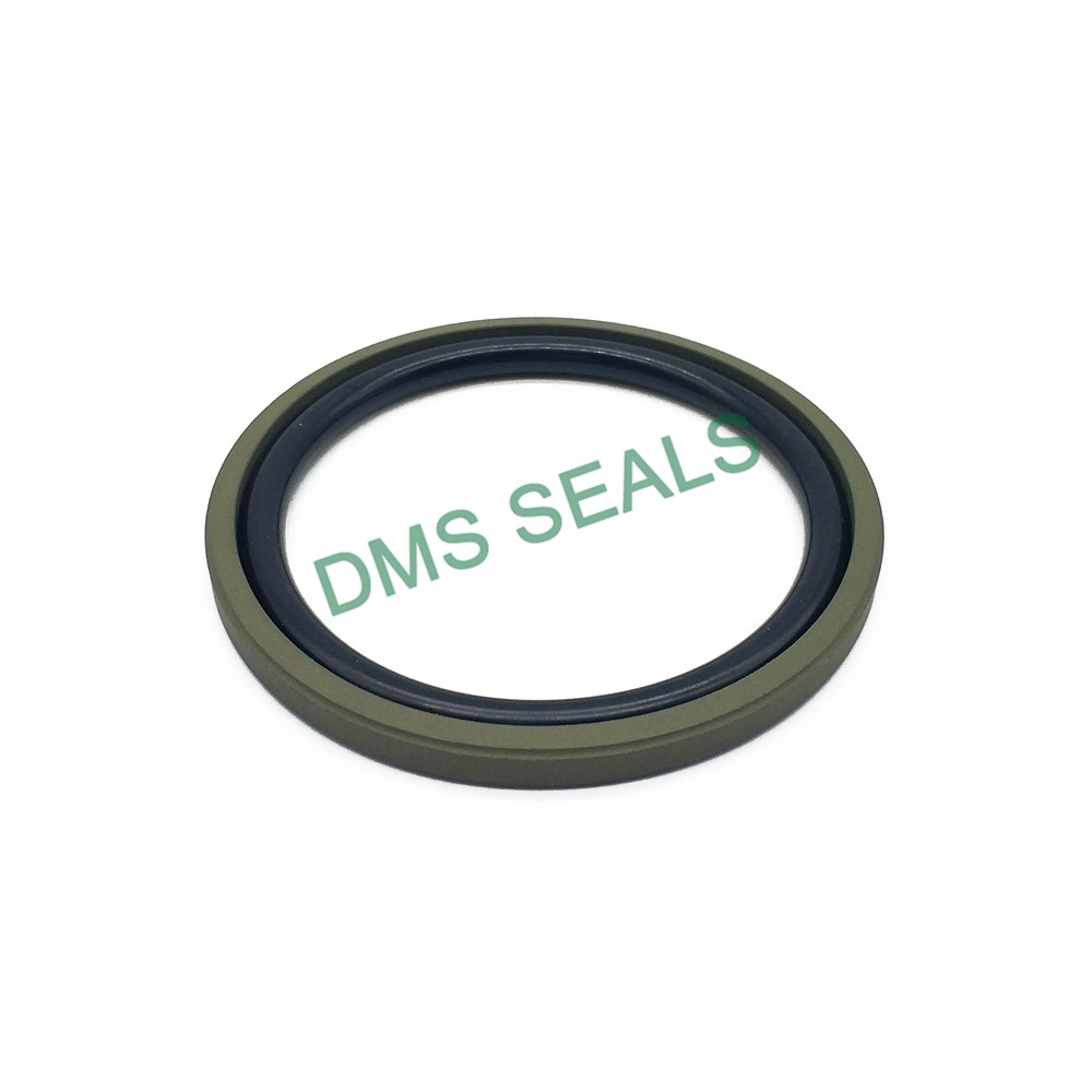 DMS Seals Custom 4 inch hydraulic cylinder seal kit for sale for pneumatic equipment-3