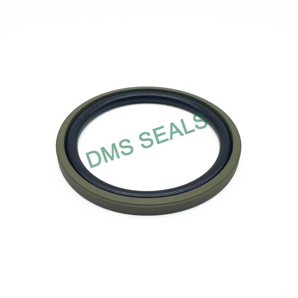 Piston T-Shaped Glyd Ring DPT Heavy-Duty Two-Way Piston Seal