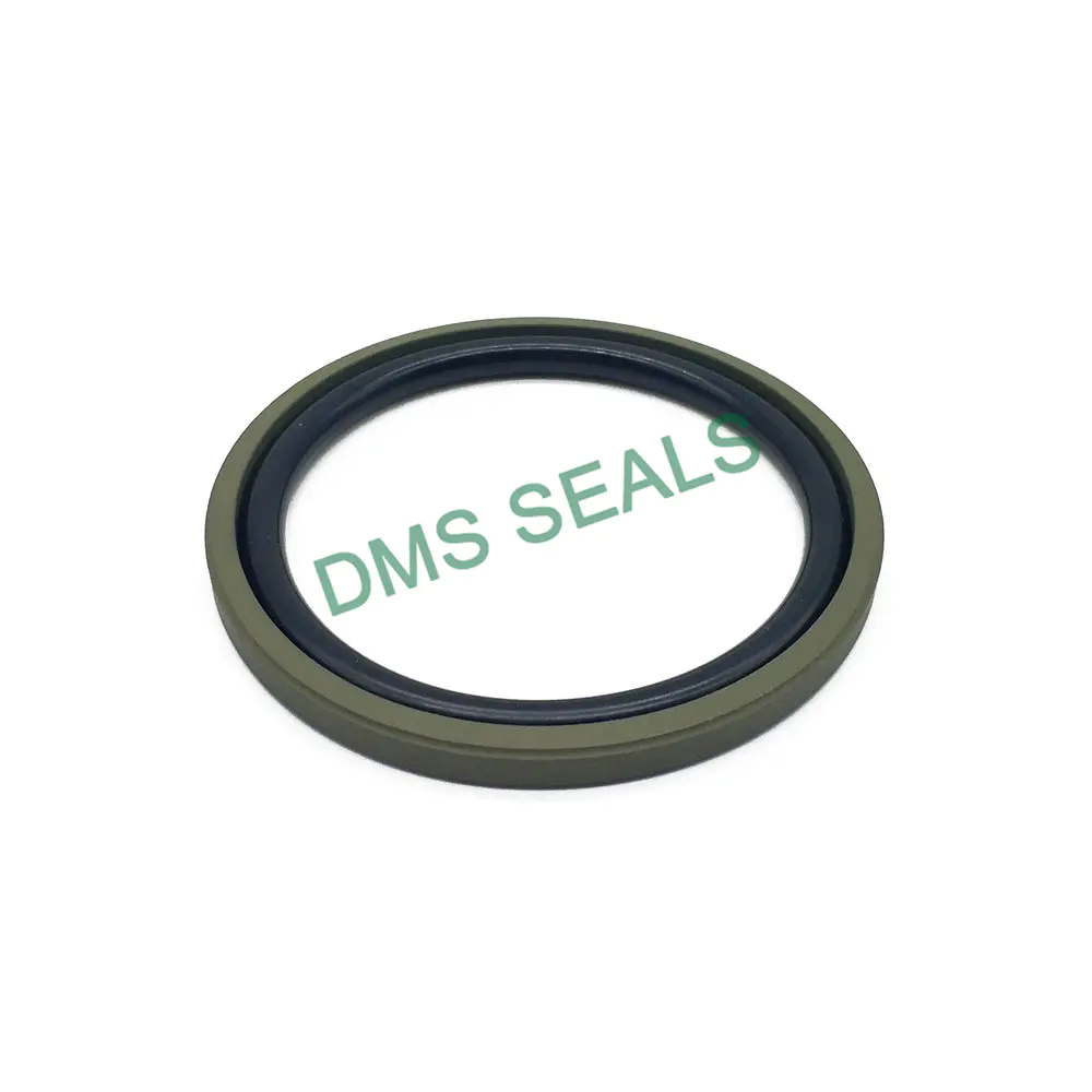 Heavy-Duty Two-Way Piston Seal T-Shaped Glyd Ring DPT