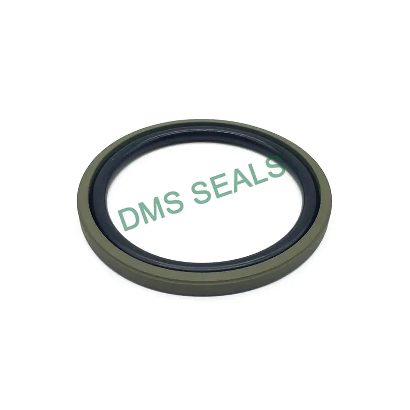 Labyrinth Seal PTFE Filled Hydraulic Piston Seal for Hydraulic Jack Glyd Ring DPT