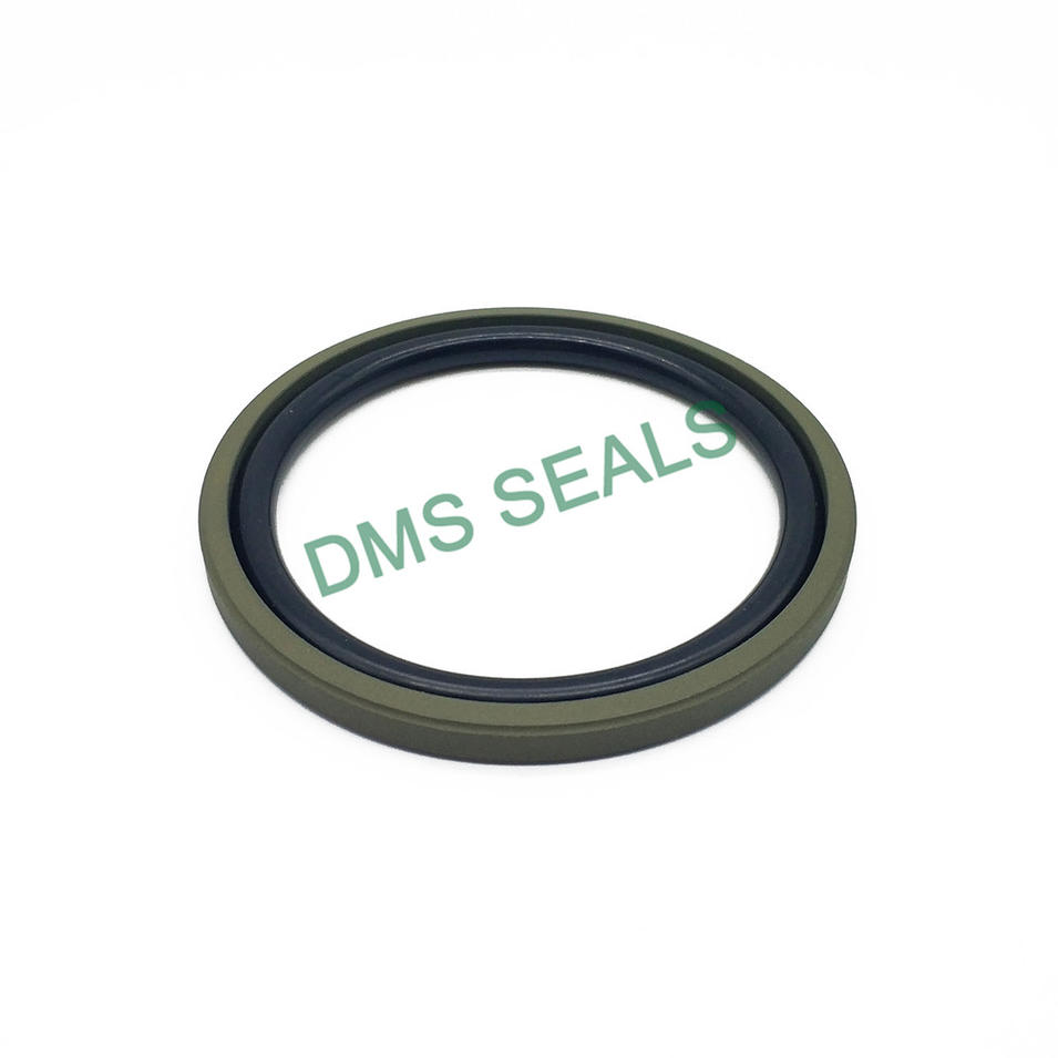 Labyrinth Seal PTFE Filled Hydraulic Piston Seal for Hydraulic Jack Glyd Ring DPT