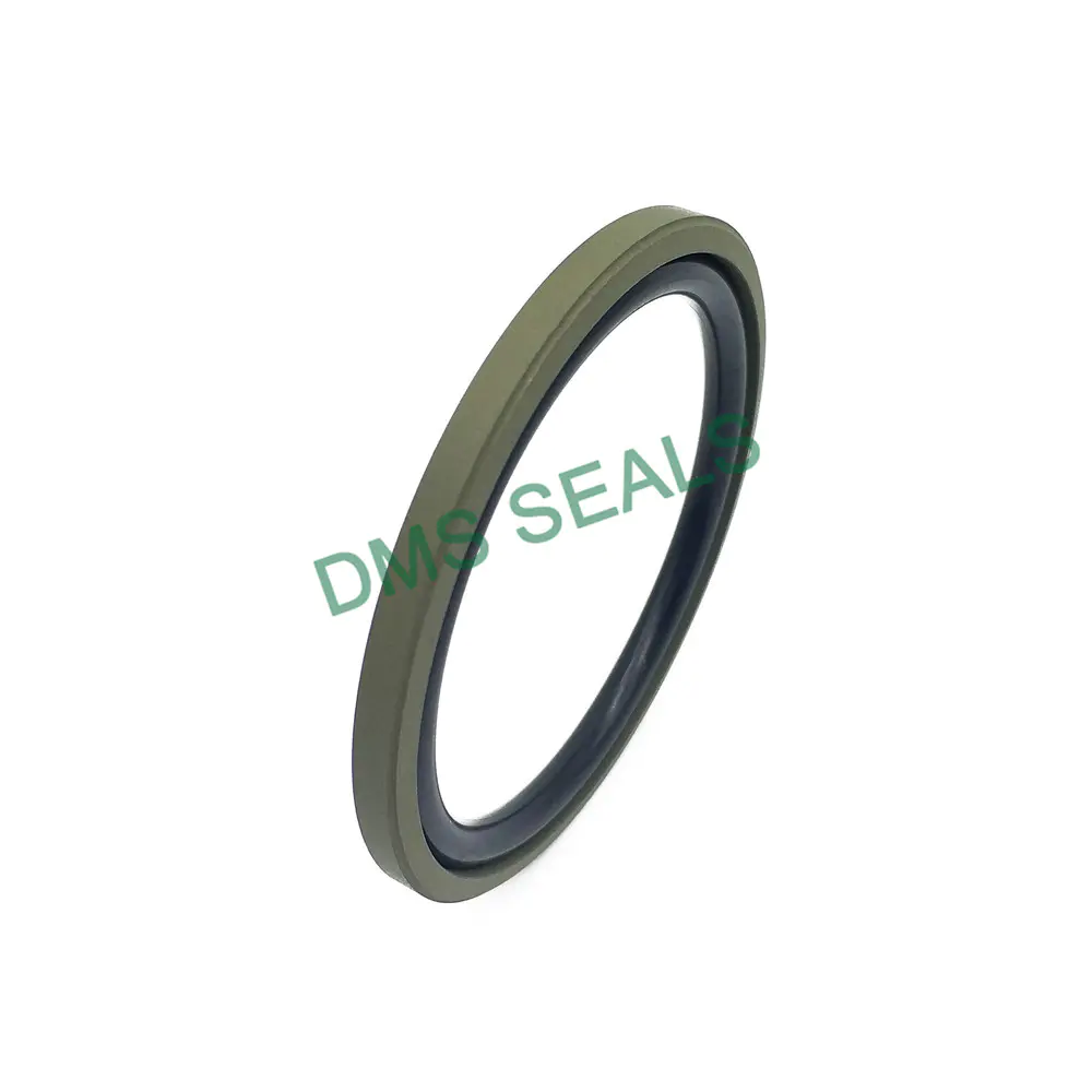 Heavy-Duty Two-Way Piston Seal T-Shaped Glyd Ring DPT