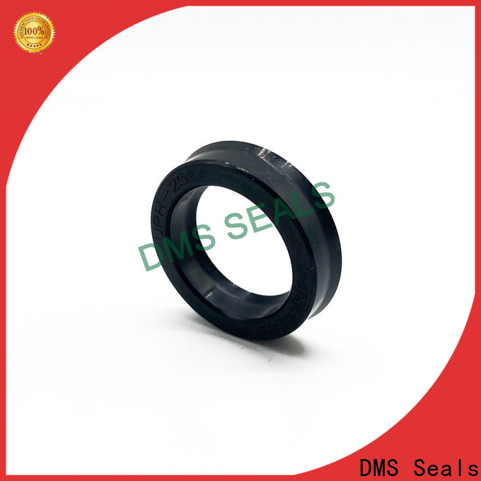 DMS Seals hydraulic rod seals factory for larger piston clearance