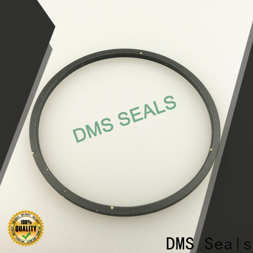 DMS Seals mechanical seal material selection for larger piston clearance