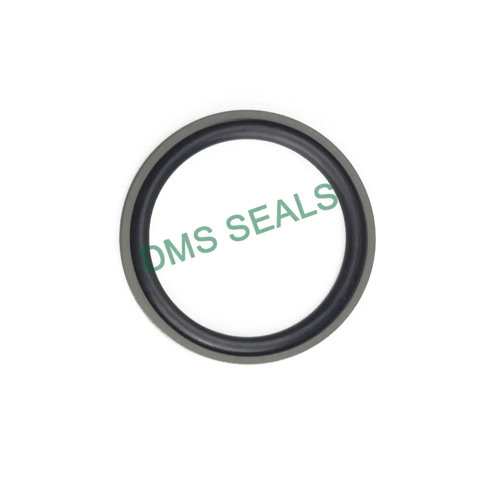 Dpo Seal Ring Japanese Glyd Ring for Heavy-Duty Two-Way Piston Seal Occasions