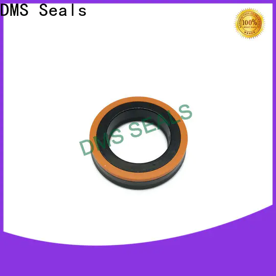 DMS Seals rubber sections catalogue factory price for air bottle