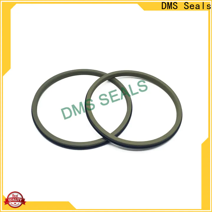 DMS Seals door window belt weather strip wholesale for injection molding machines