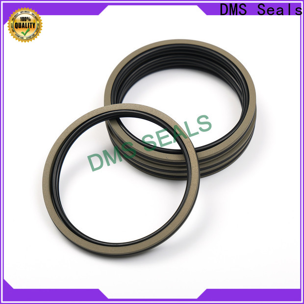 DMS Seals rubber piston seals supply for light and medium hydraulic systems