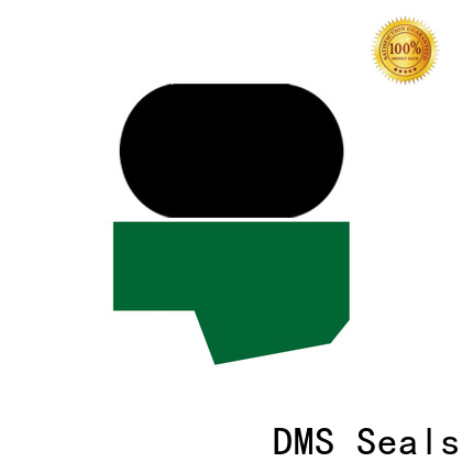 DMS Seals Best hydraulic oil seal sizes cost for pressure work and sliding high speed occasions