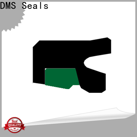 DMS Seals hydraulic rod seals online for sale for pressure work and sliding high speed occasions