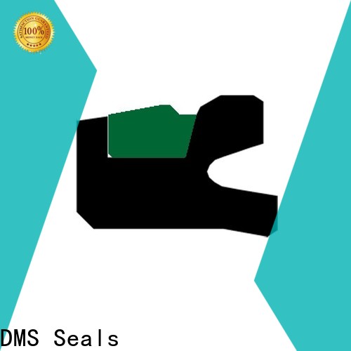 DMS Seals hydraulic cylinder seal design supply for sale