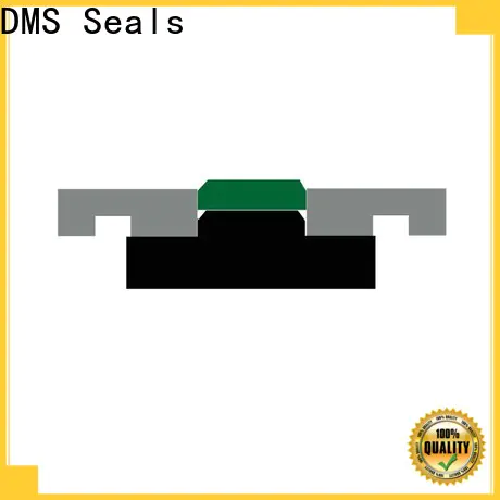 DMS Seals seals for hydraulic pumps cost for light and medium hydraulic systems