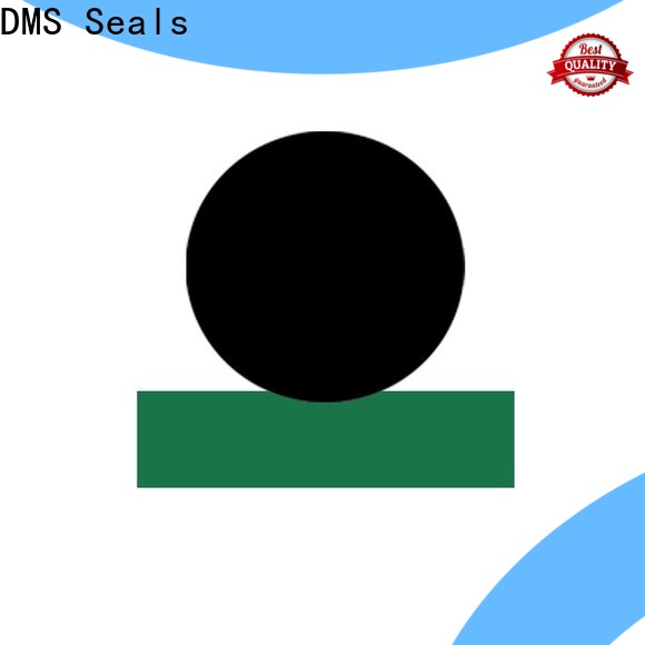 DMS Seals Custom hydraulic motor seal kit factory for sale