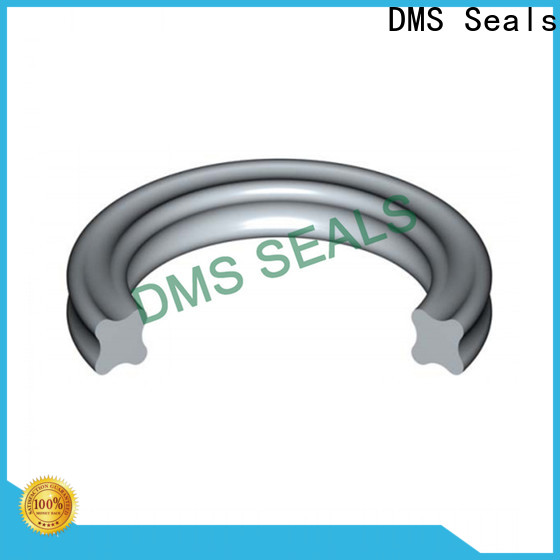 DMS Seals small silicone o rings factory for static sealing