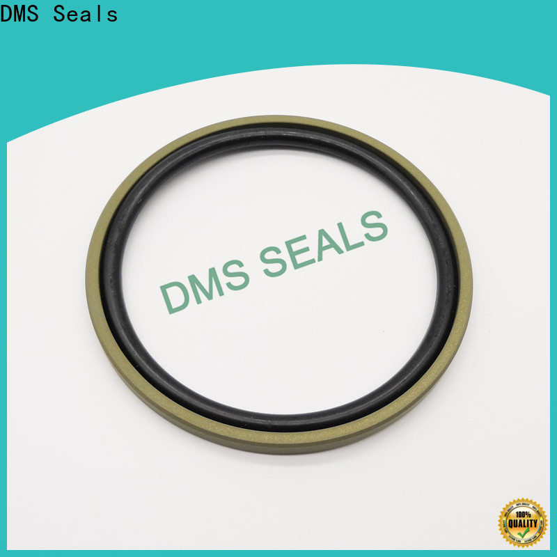 DMS Seals High-quality hydraulic cylinder piston supply for piston and hydraulic cylinder