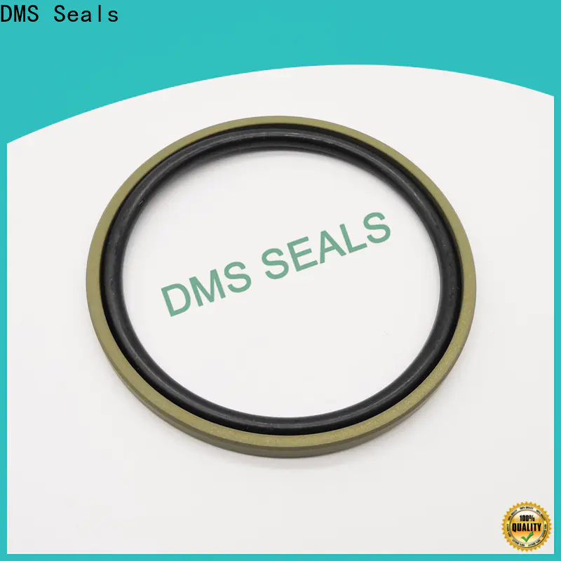DMS Seals High-quality hydraulic cylinder piston supply for piston and hydraulic cylinder