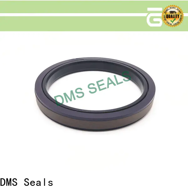 DMS Seals epdm seals suppliers company for larger piston clearance